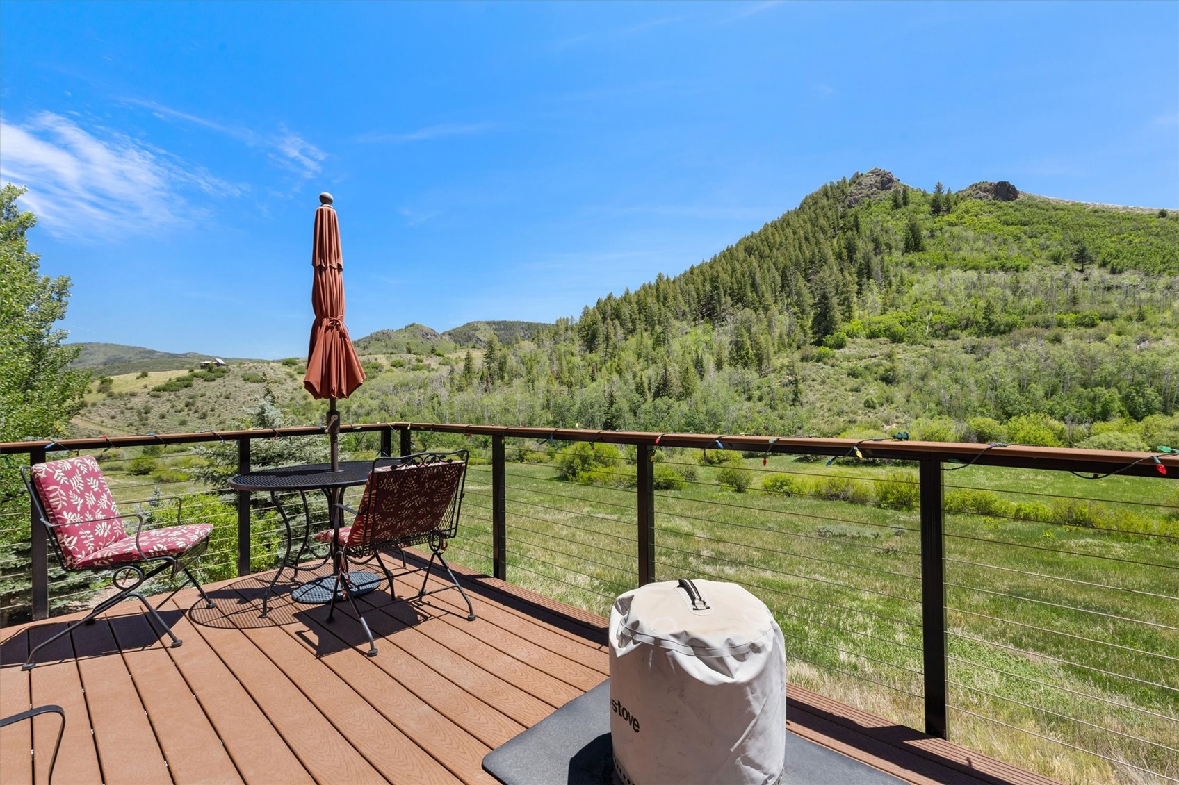 30390 Coyote Run Court Oak Creek CO 80467