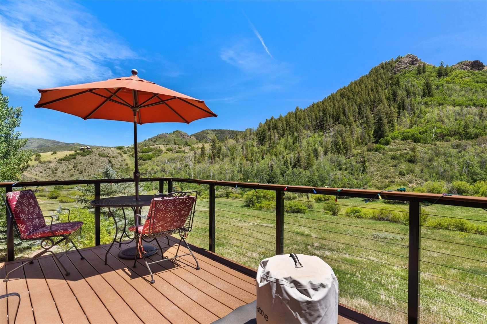 30390 Coyote Run Court Oak Creek CO 80467