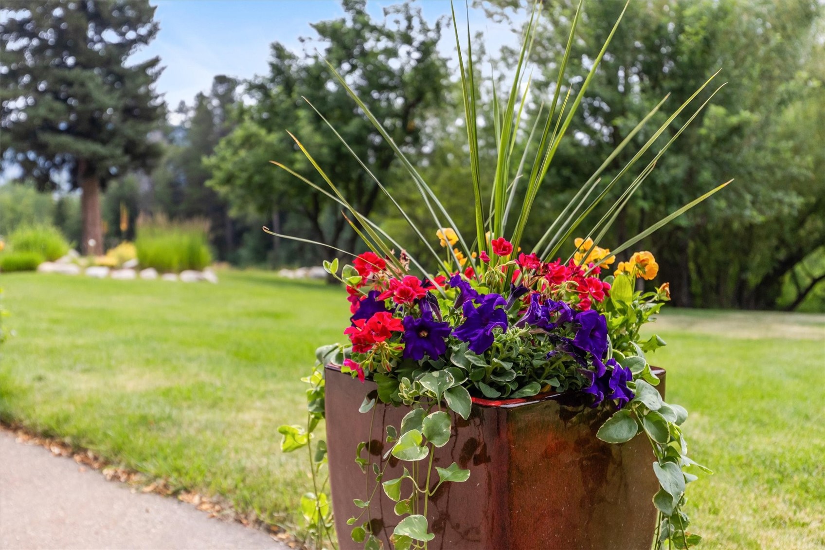1184 Anglers Drive Steamboat Springs CO 80487