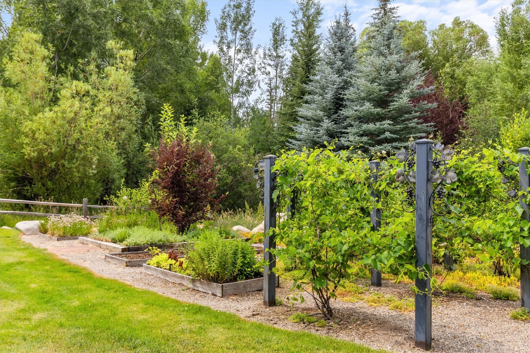 1184 Anglers Drive Steamboat Springs CO 80487