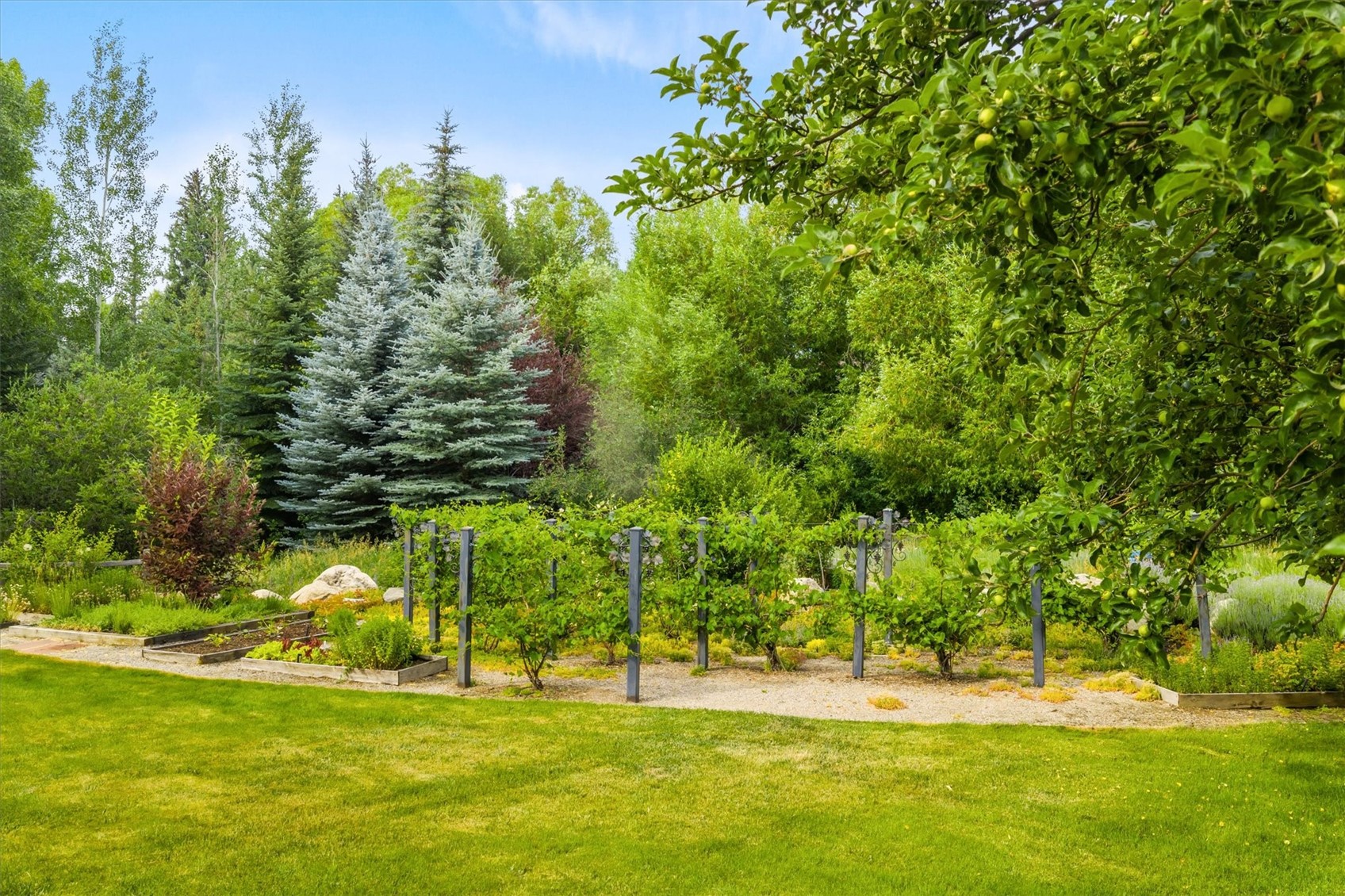 1184 Anglers Drive Steamboat Springs CO 80487