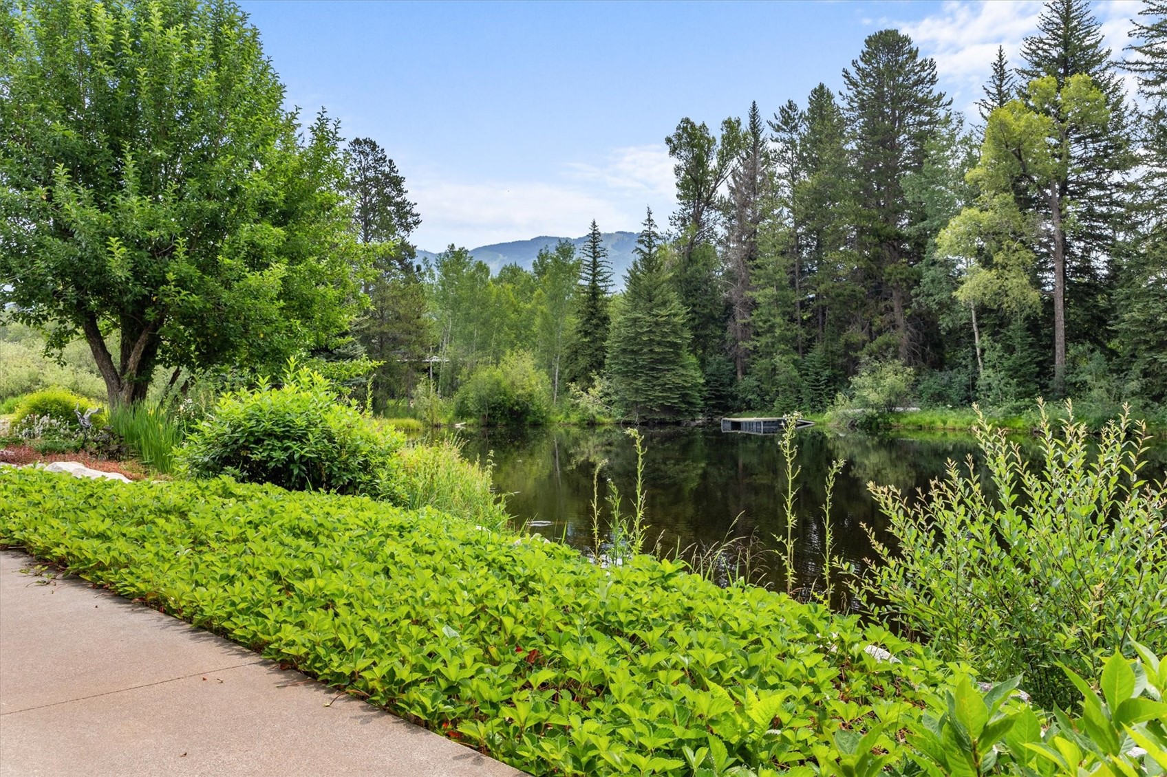1184 Anglers Drive Steamboat Springs CO 80487