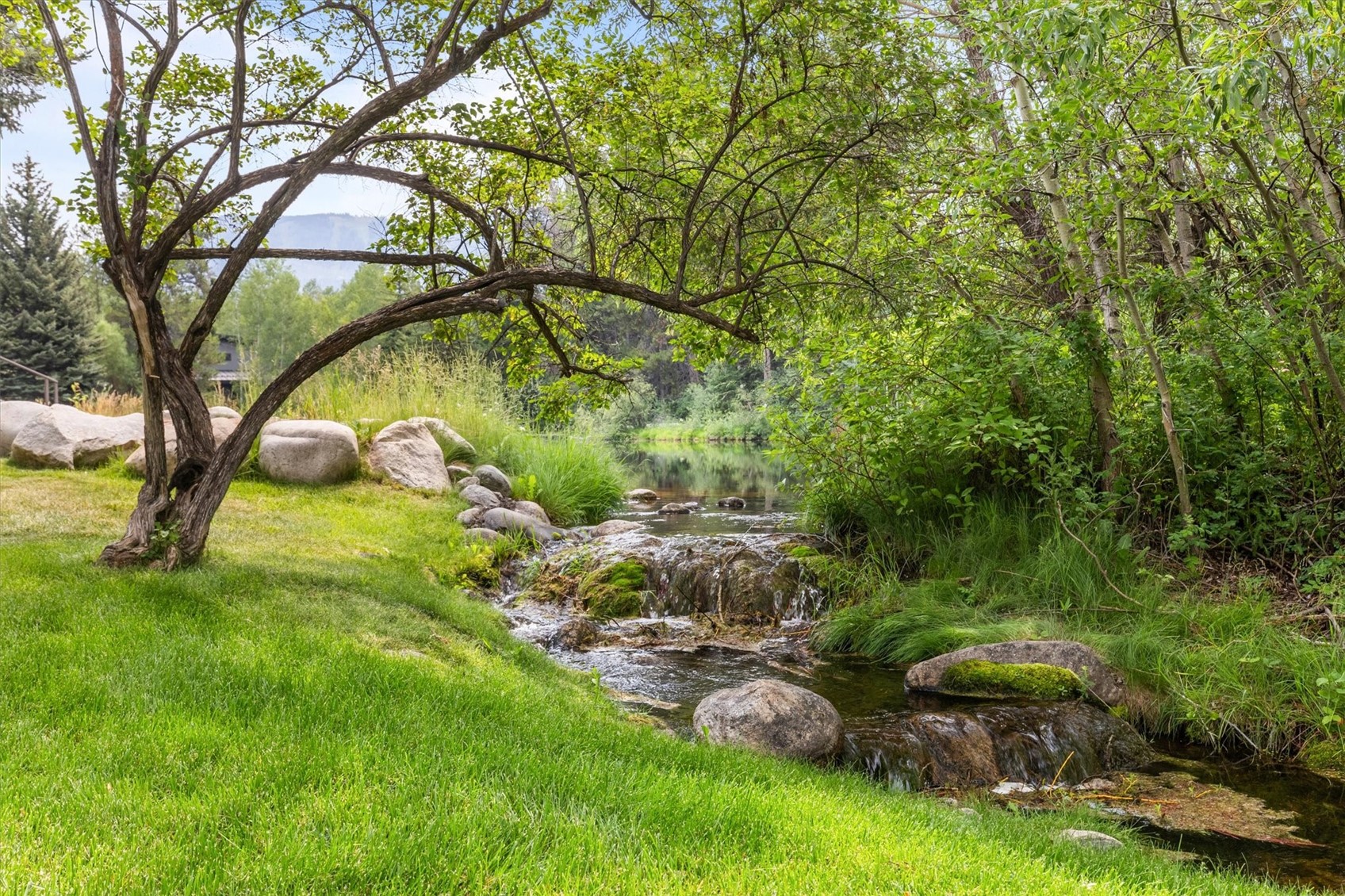 1184 Anglers Drive Steamboat Springs CO 80487