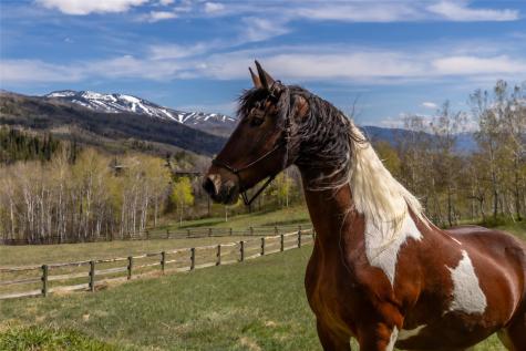 31775 Bradley Ranch Steamboat Springs CO 80487