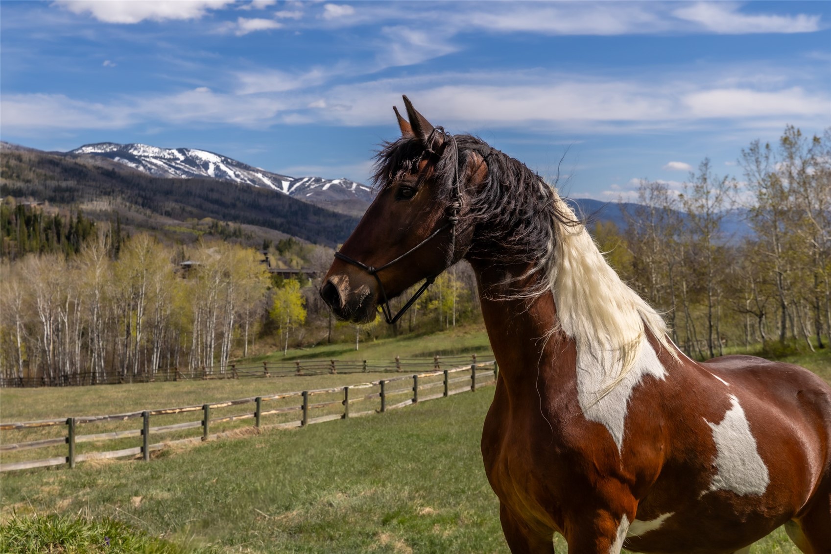 31775 Bradley Ranch Steamboat Springs CO 80487