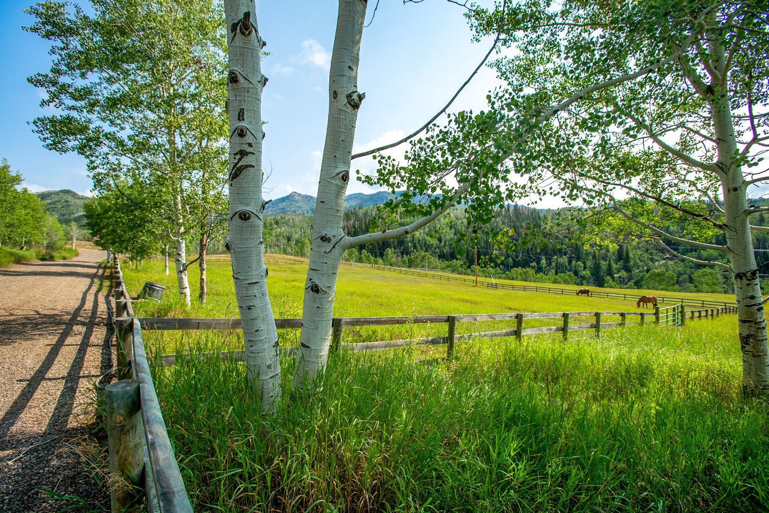 31775 Bradley Ranch Steamboat Springs CO 80487