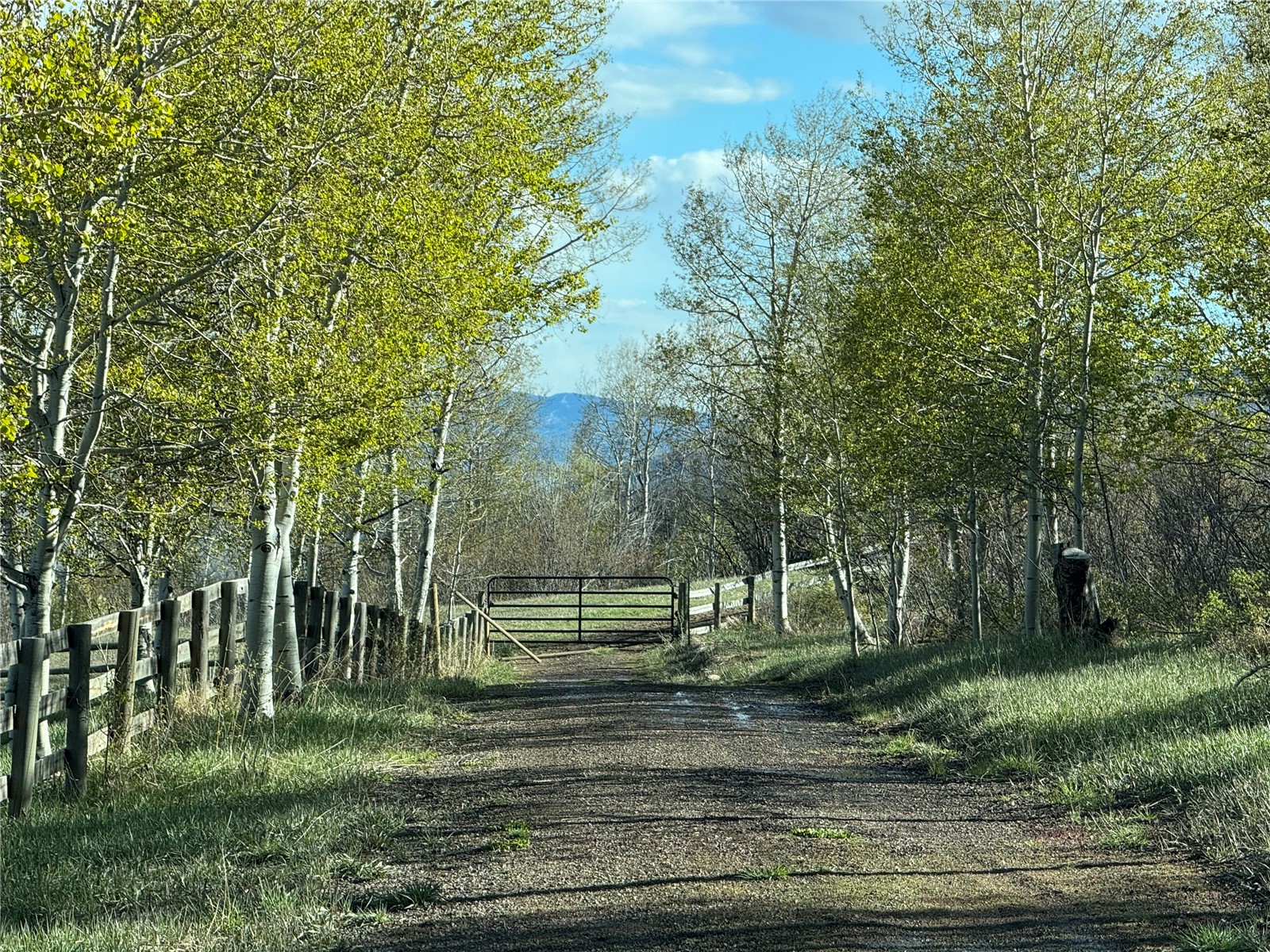 31775 Bradley Ranch Steamboat Springs CO 80487
