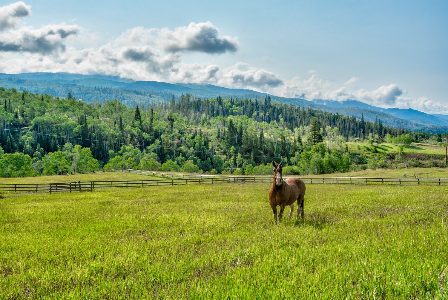 31775 Bradley Ranch Steamboat Springs CO 80487