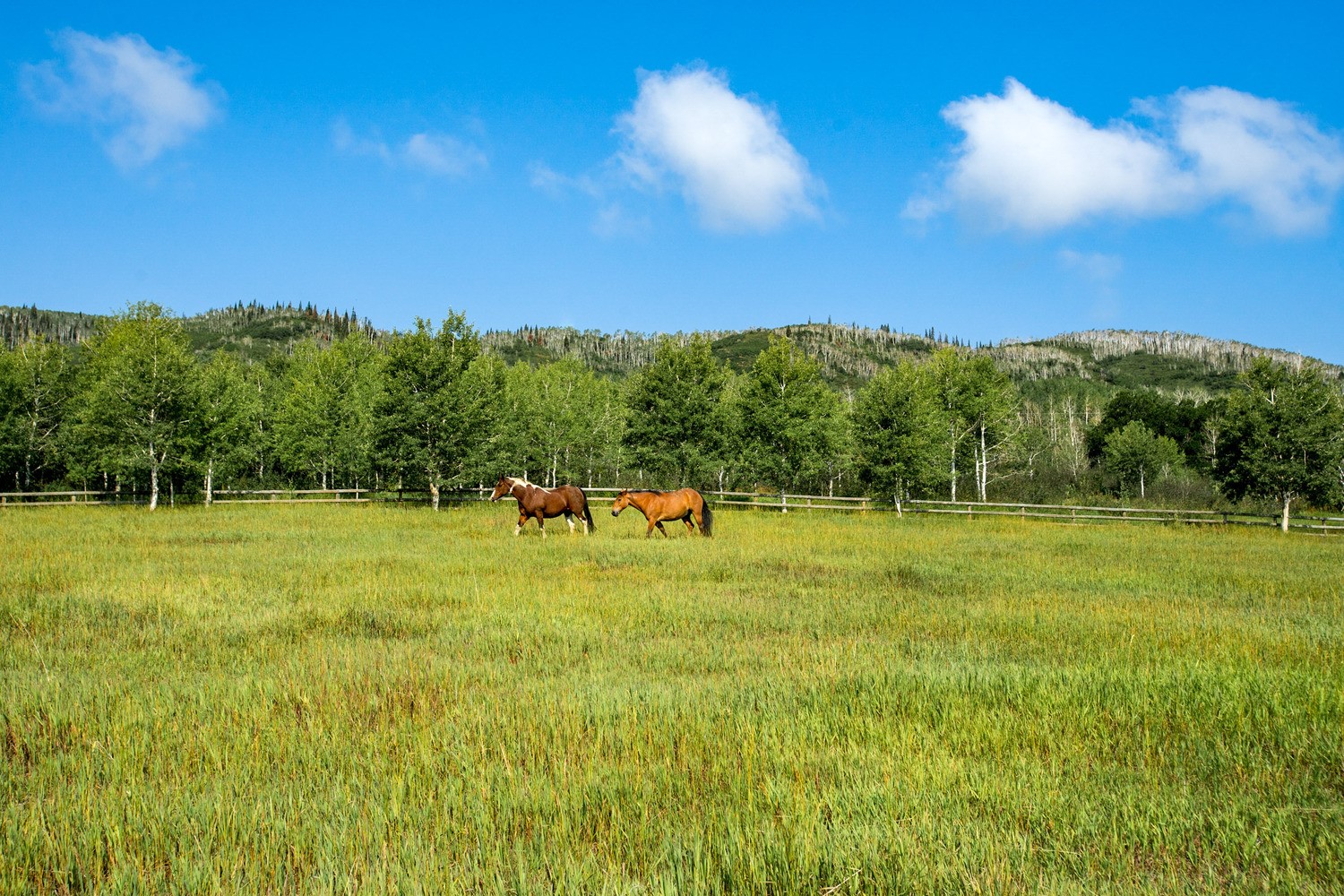 31775 Bradley Ranch Steamboat Springs CO 80487