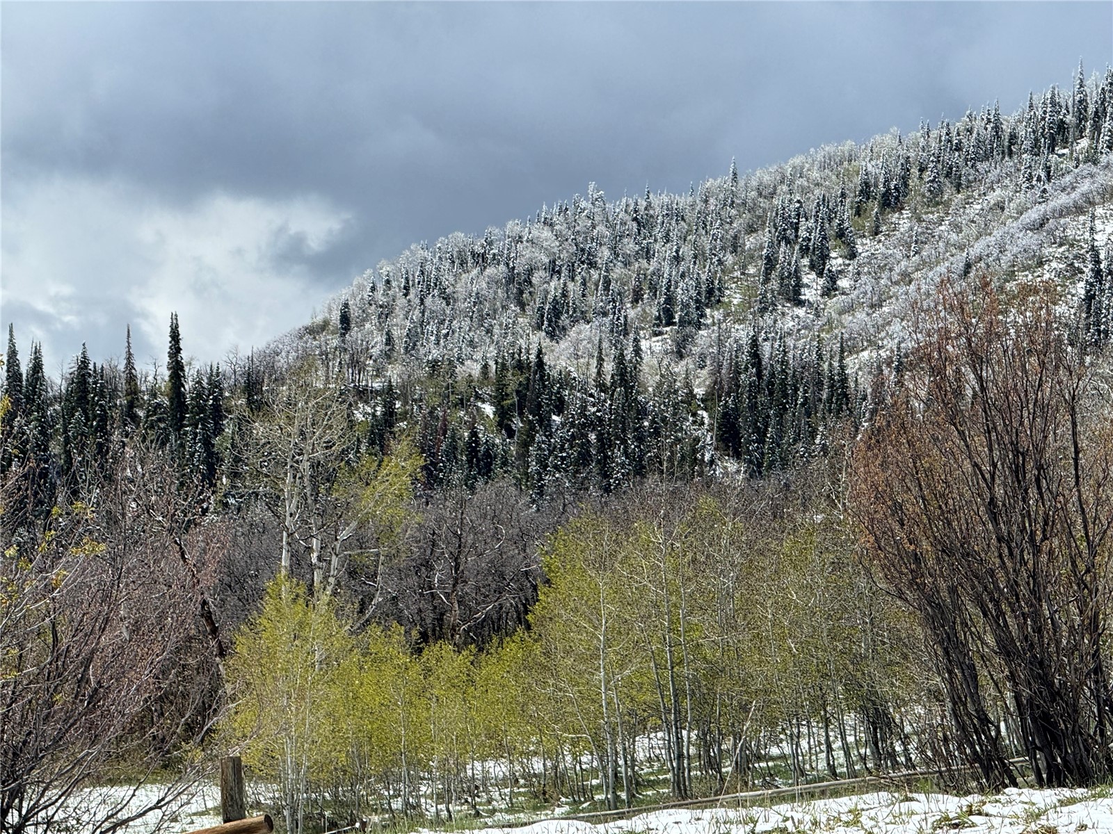 31775 Bradley Ranch Steamboat Springs CO 80487
