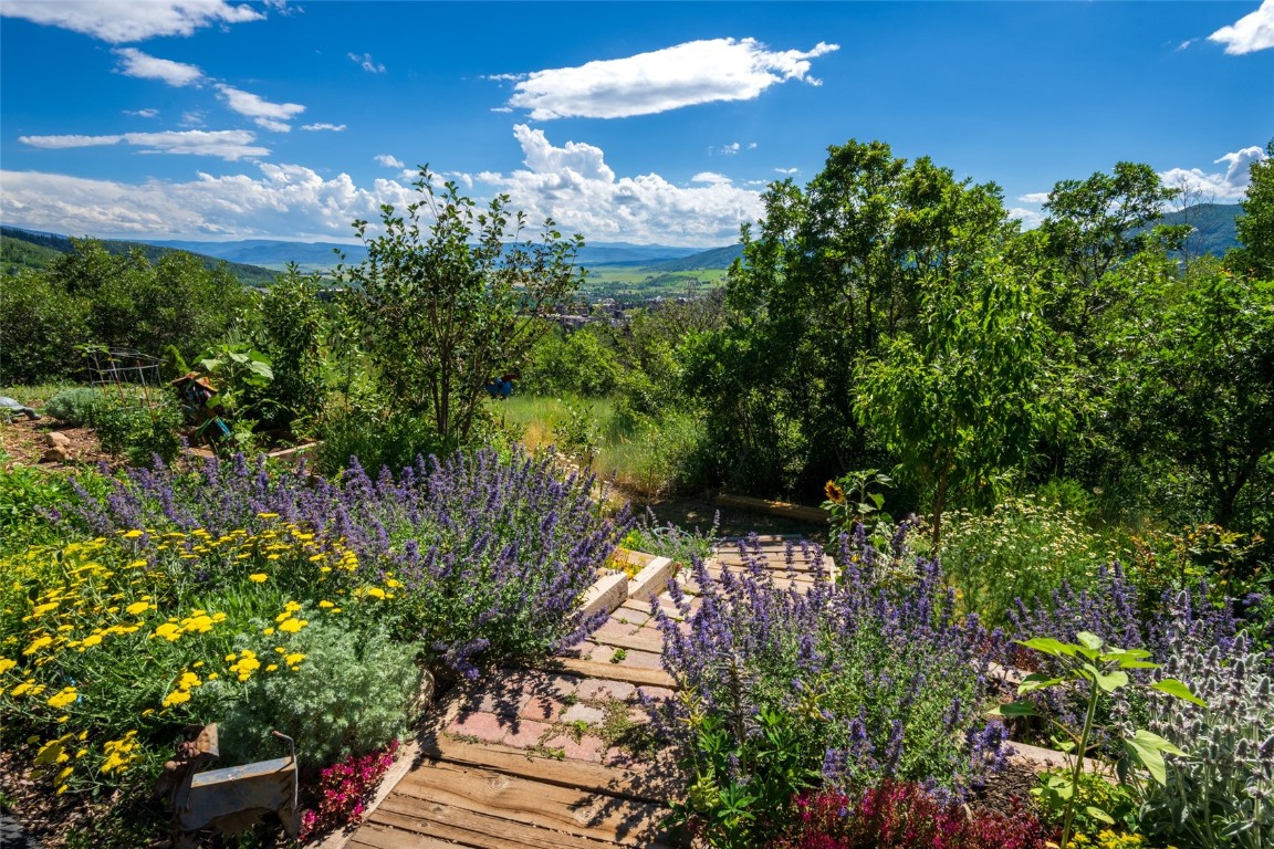 2350 Glacier Ridge Steamboat Springs CO 80487