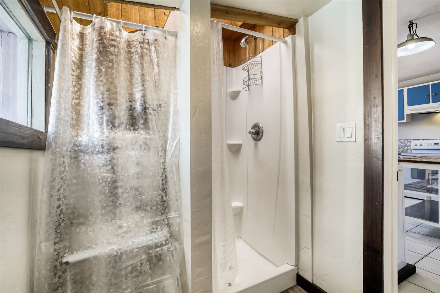 415 E 10th Street Leadville CO 80461