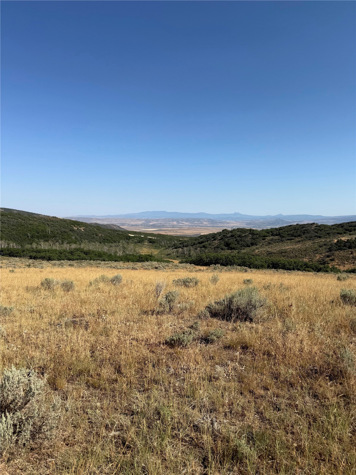 32250 County Road 37 Hayden CO 81639