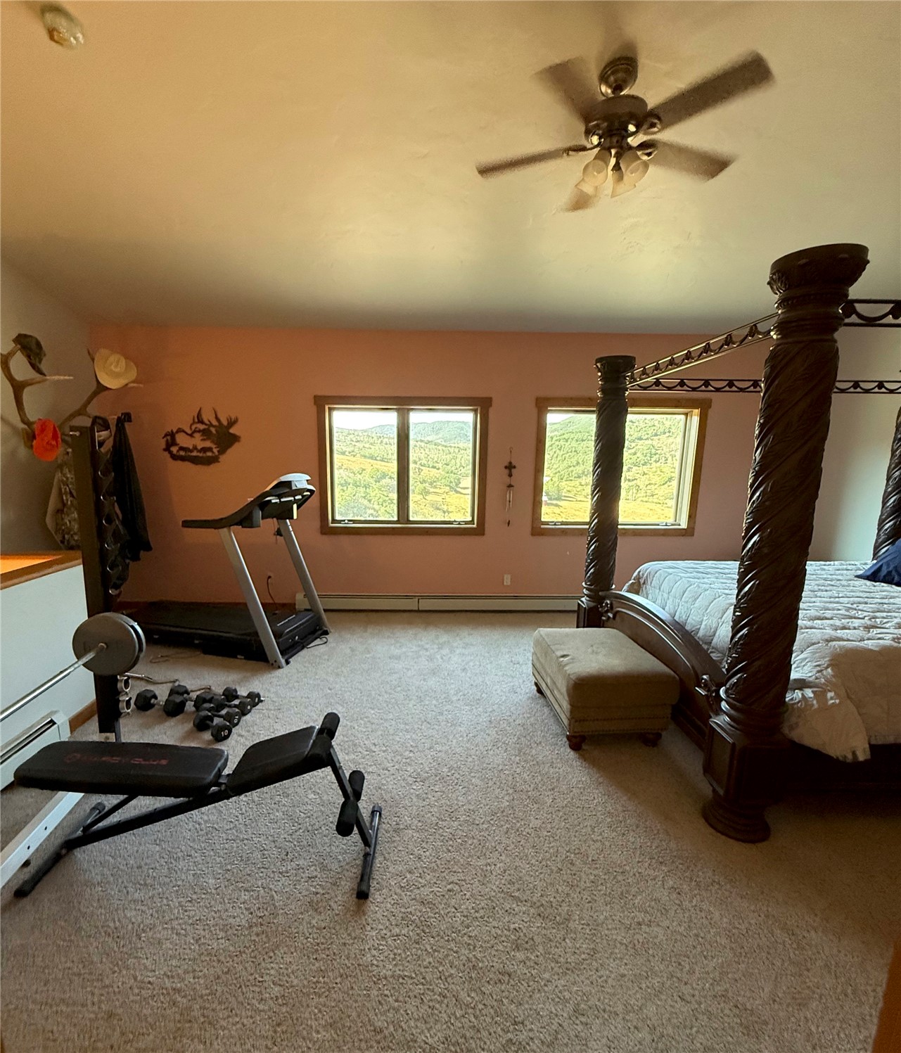 32250 County Road 37 Hayden CO 81639