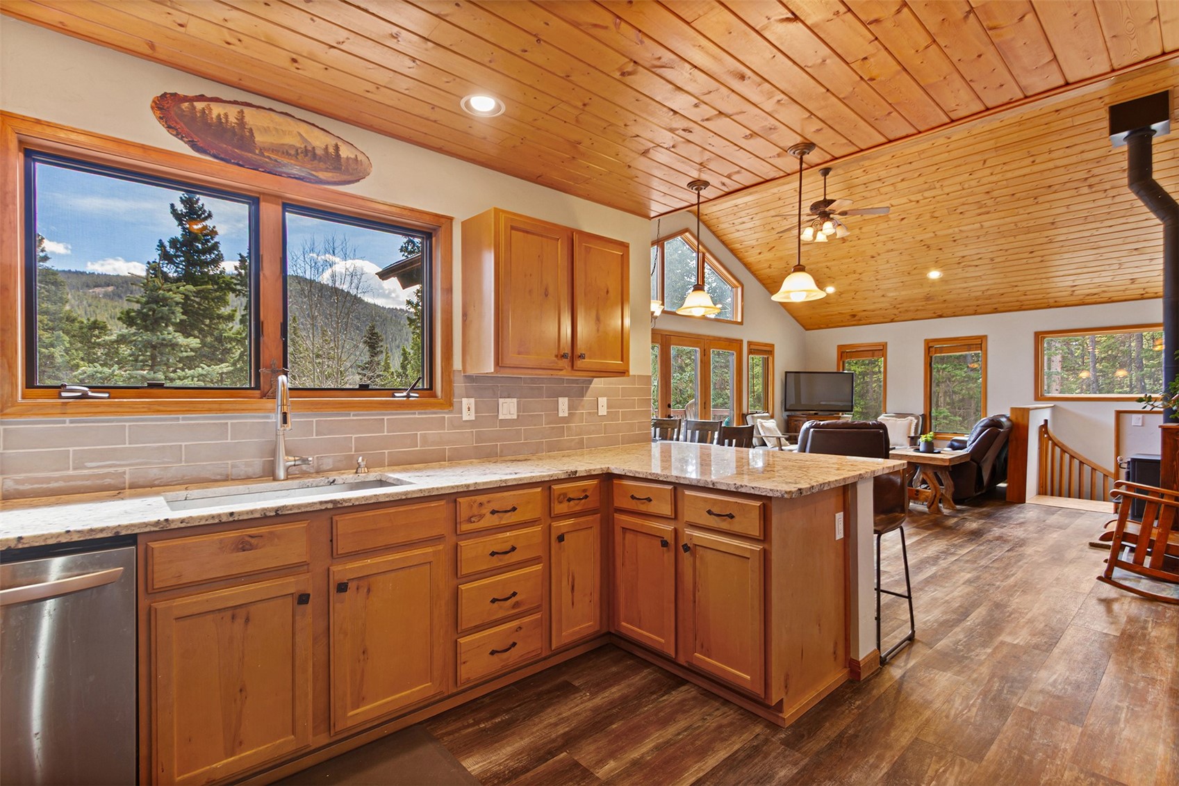 321 Peterson Drive Alma CO 80440