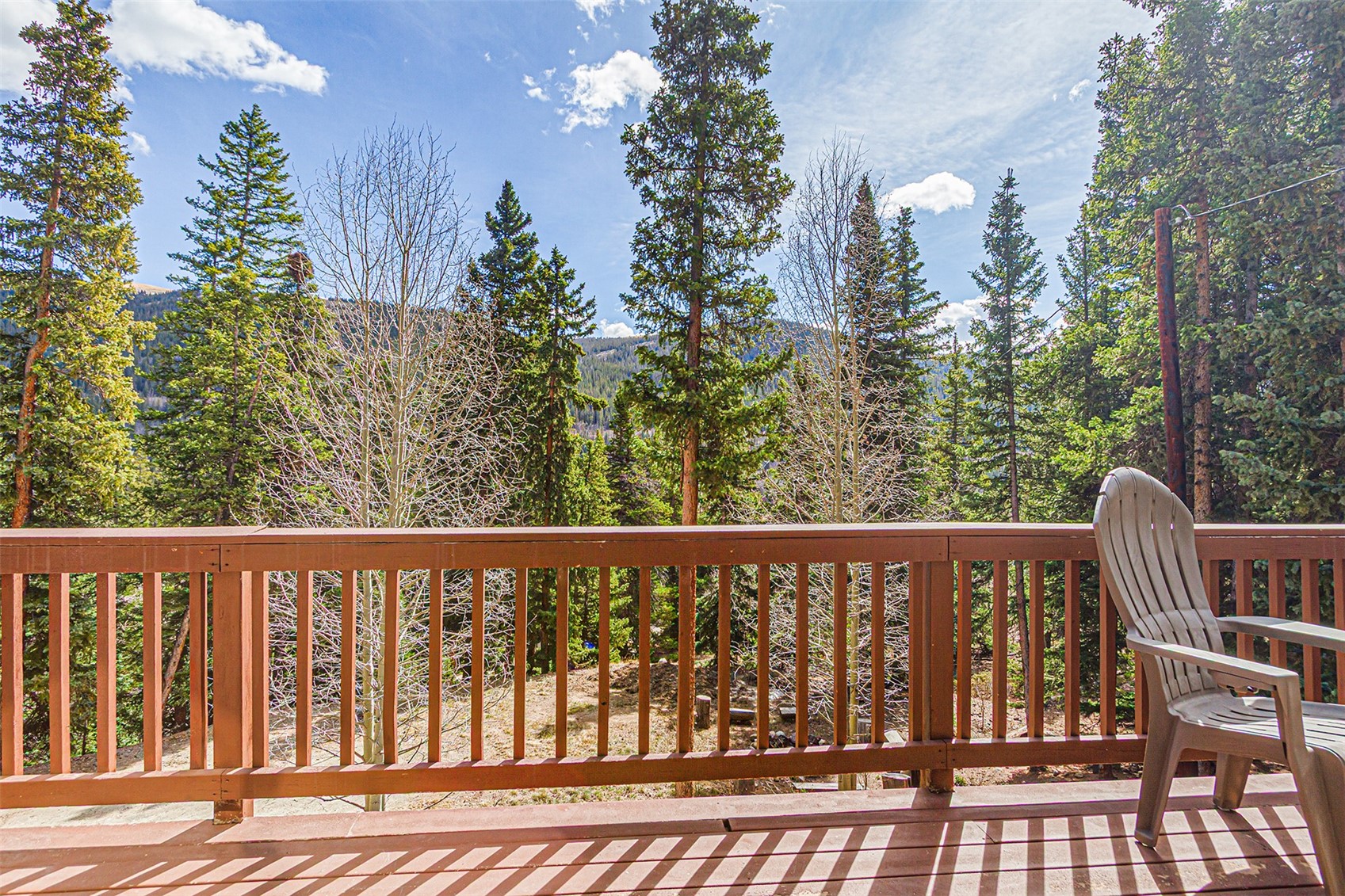 321 Peterson Drive Alma CO 80440