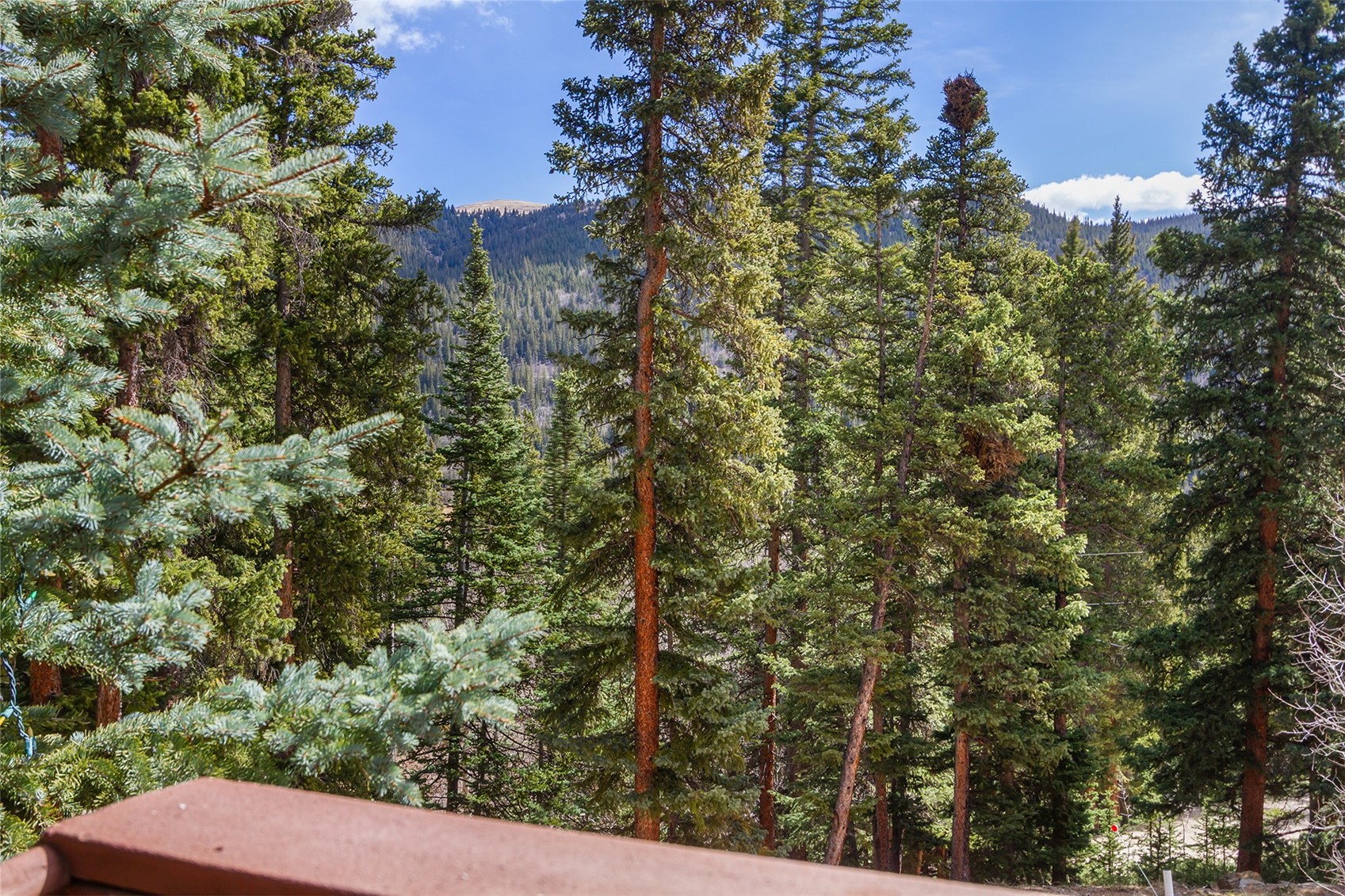 321 Peterson Drive Alma CO 80440