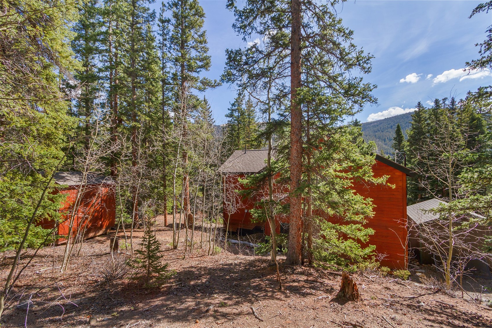 321 Peterson Drive Alma CO 80440