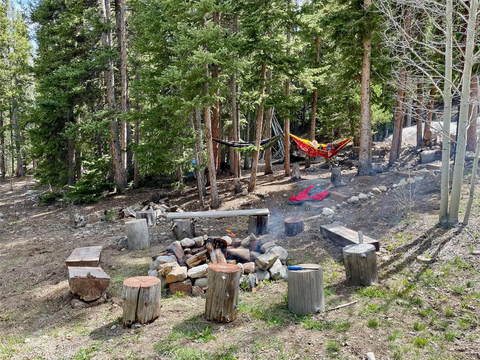 321 Peterson Drive Alma CO 80440