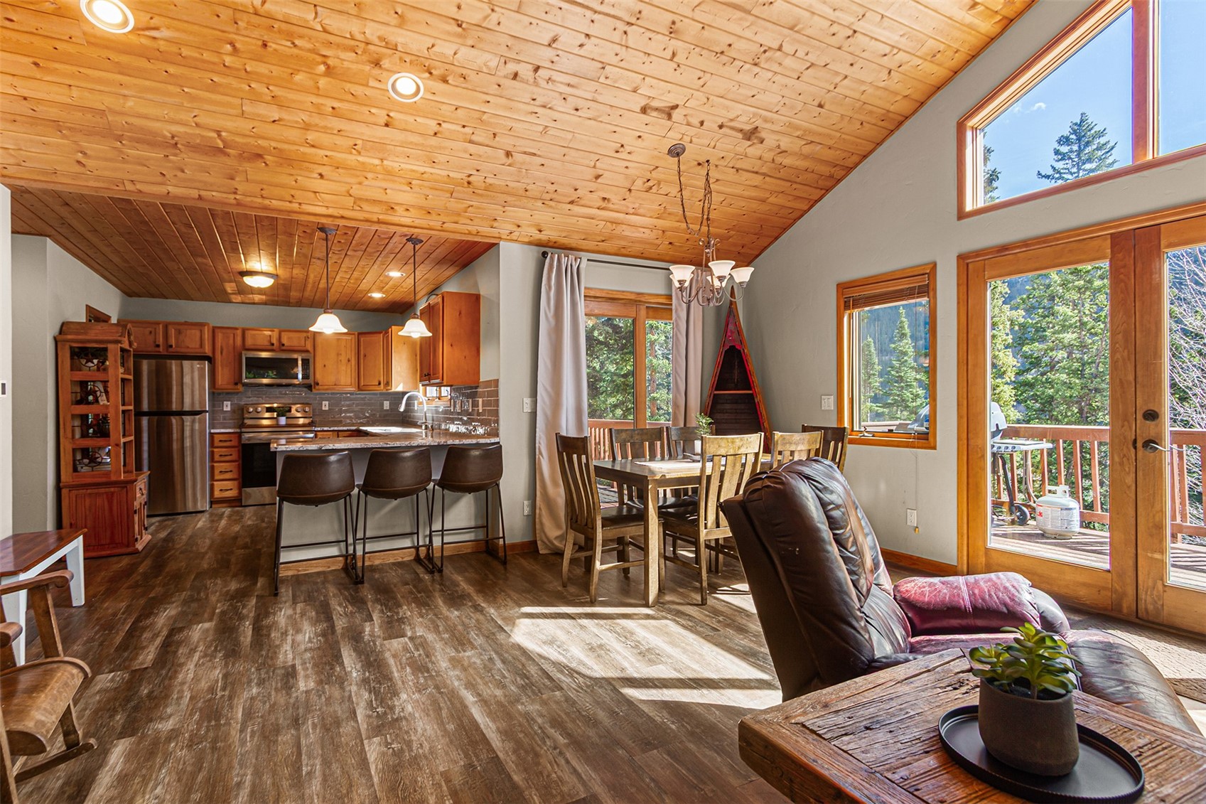 321 Peterson Drive Alma CO 80440
