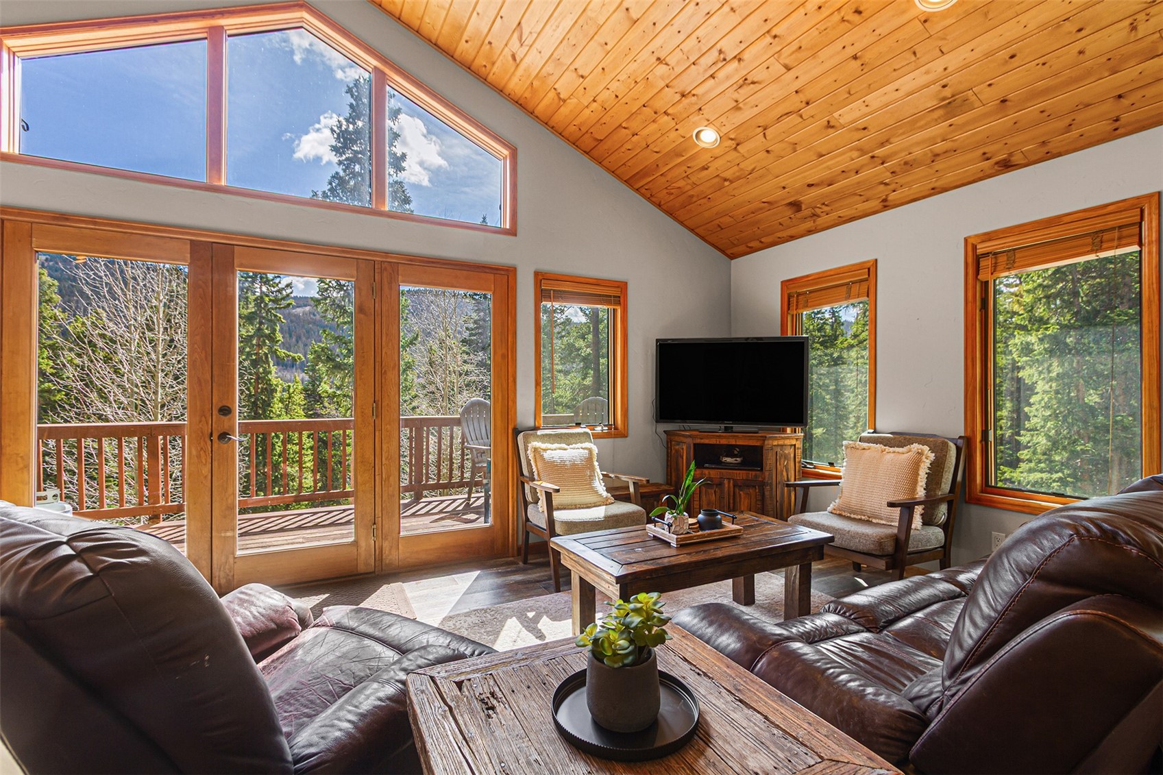 321 Peterson Drive Alma CO 80440