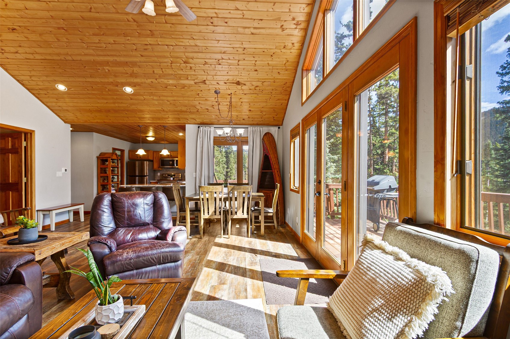 321 Peterson Drive Alma CO 80440