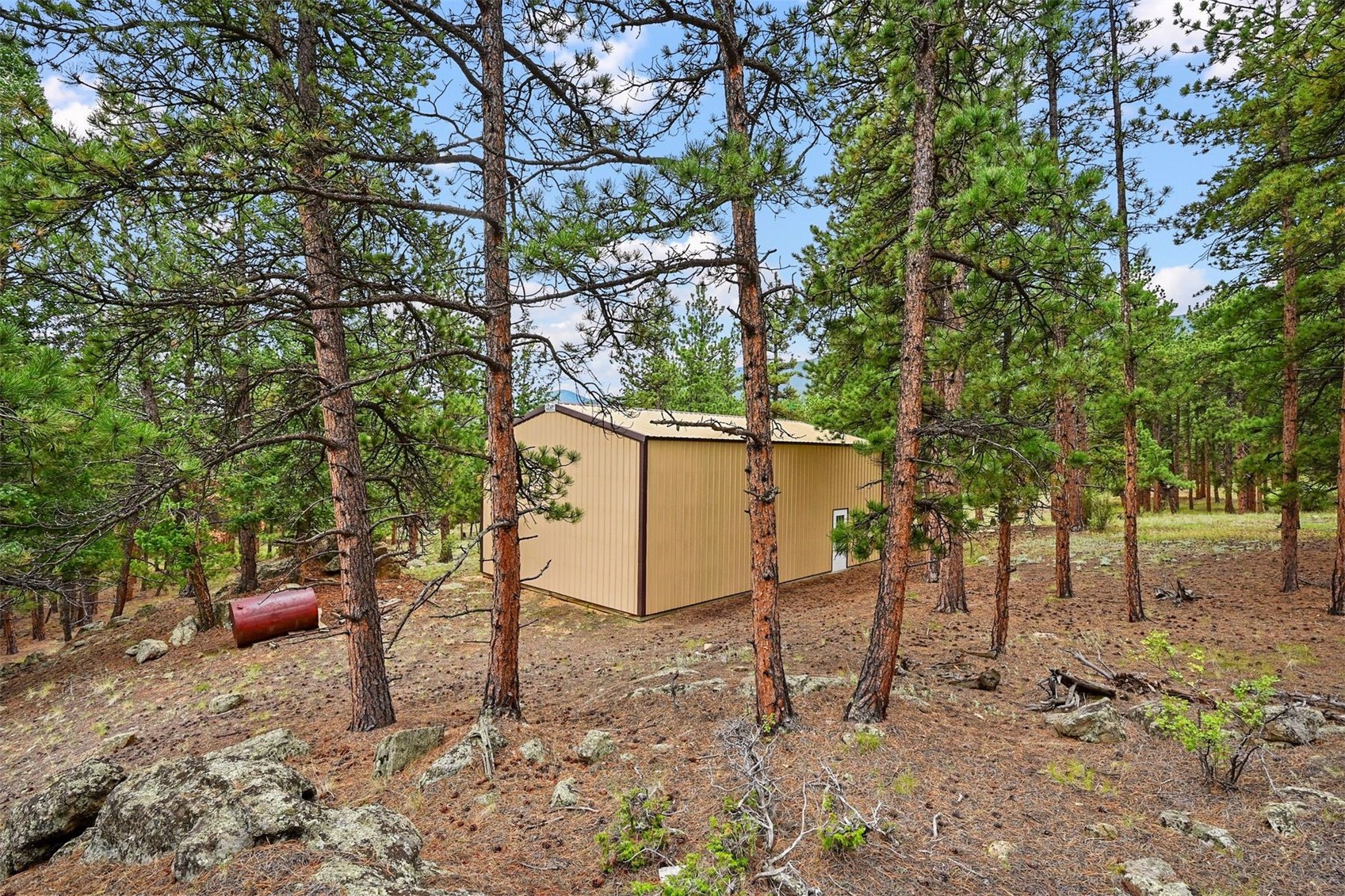 901 Cr 64 Bailey CO 80421