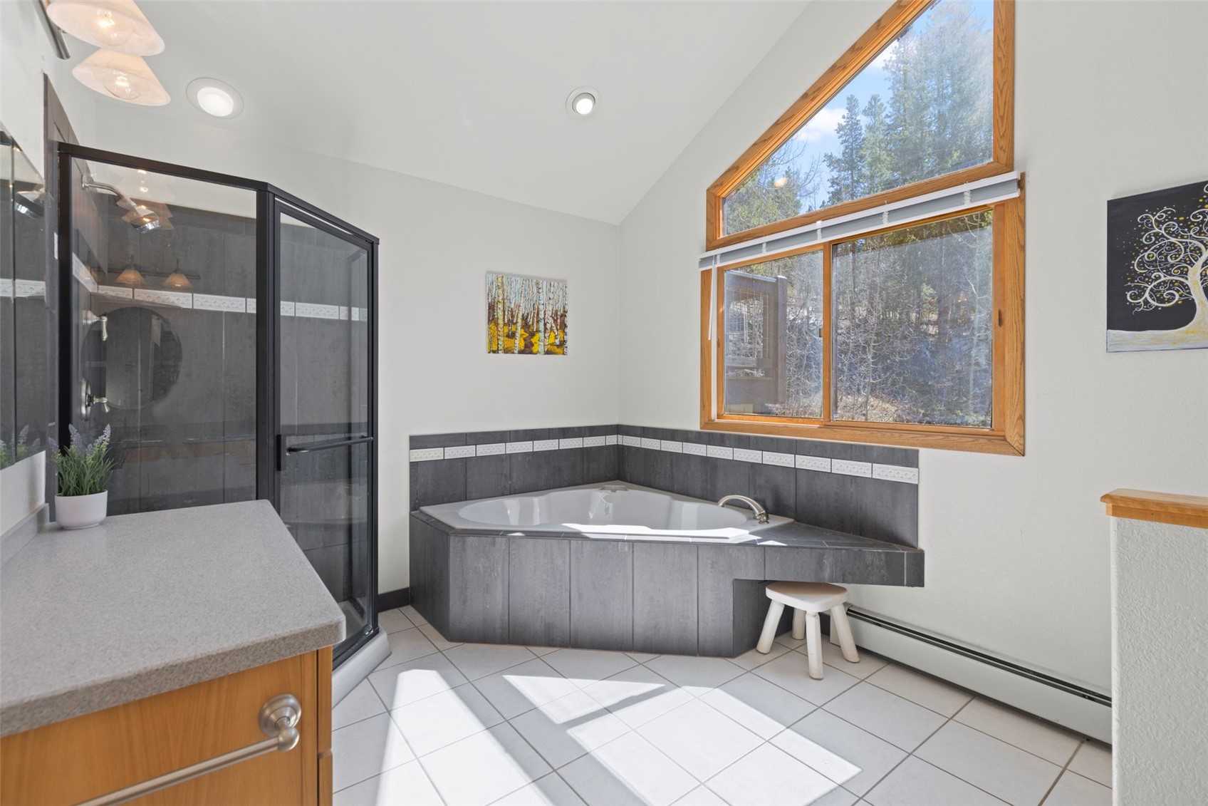 126 Hummingbird Drive Breckenridge CO 80424