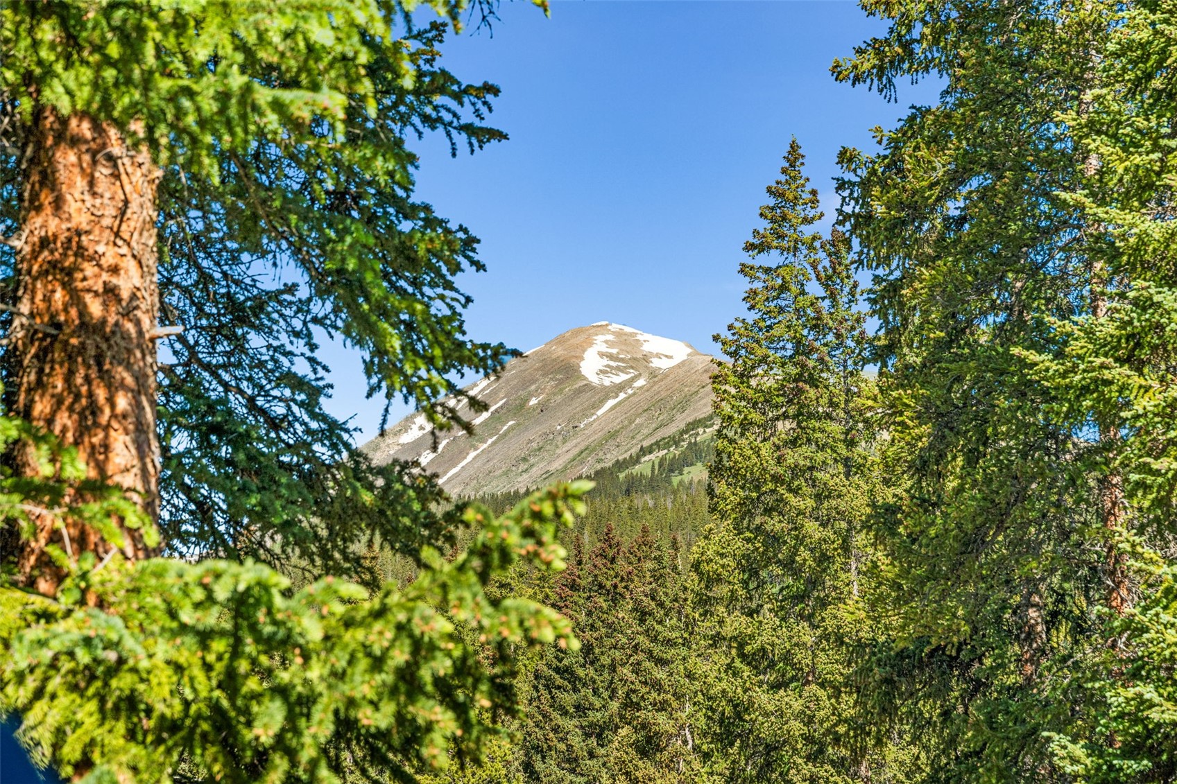 654 County Road 672 Breckenridge CO 80424
