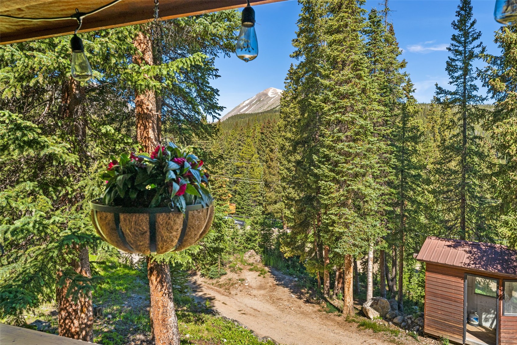 654 County Road 672 Breckenridge CO 80424