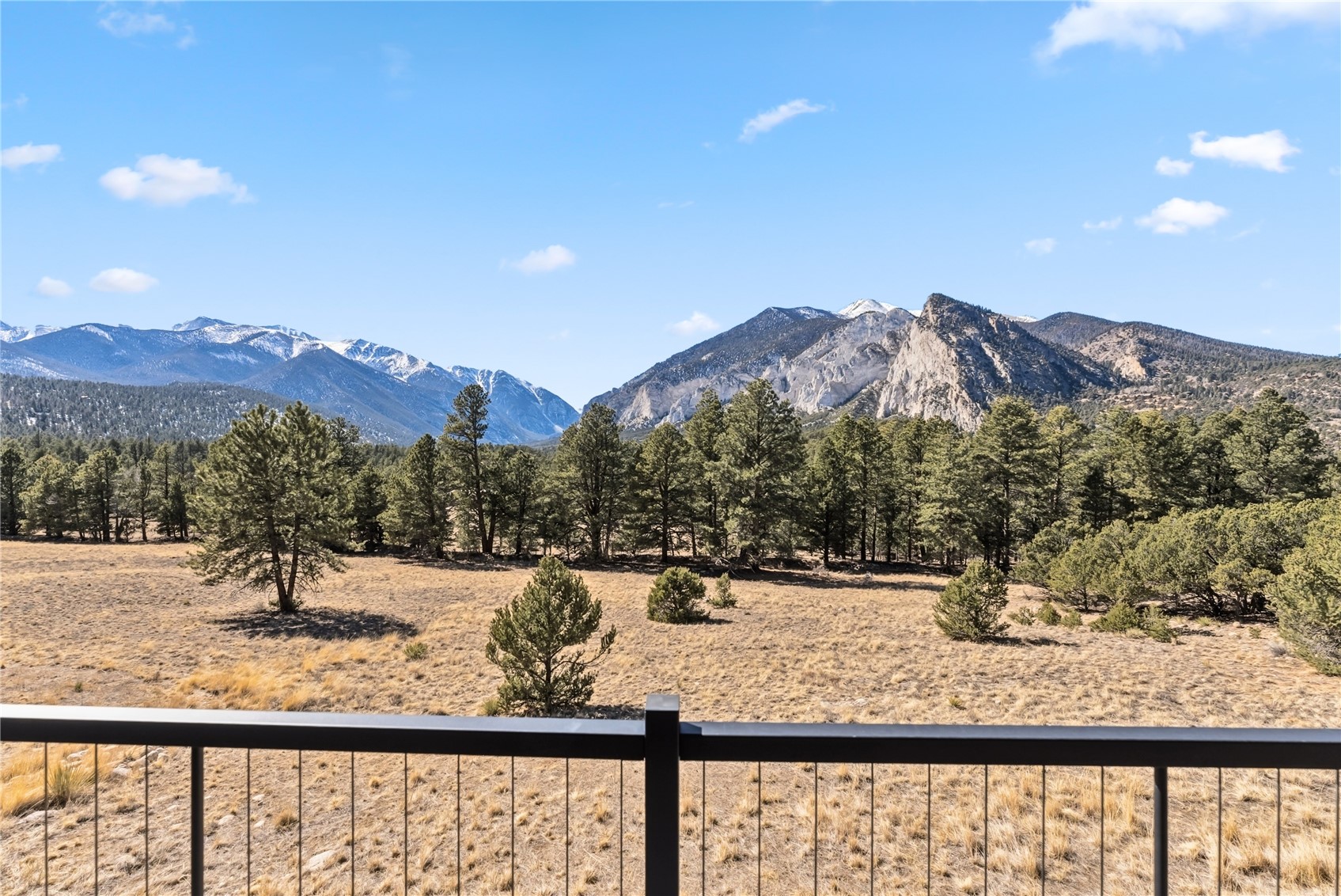 21261 Broadview Road Nathrop CO 81236