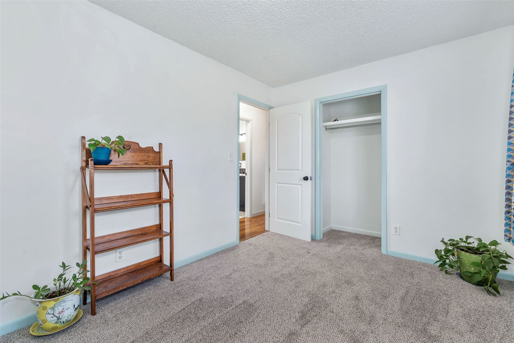 383 Spruce Street Hayden CO 81639