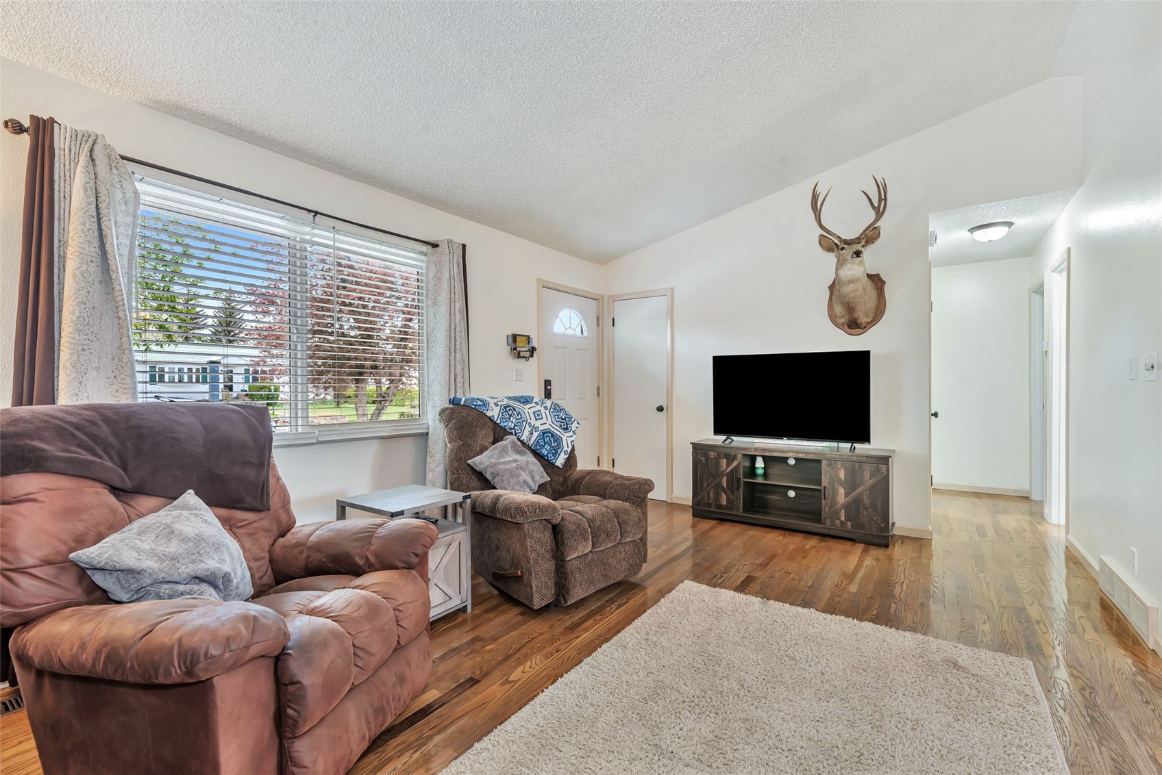 383 Spruce Street Hayden CO 81639
