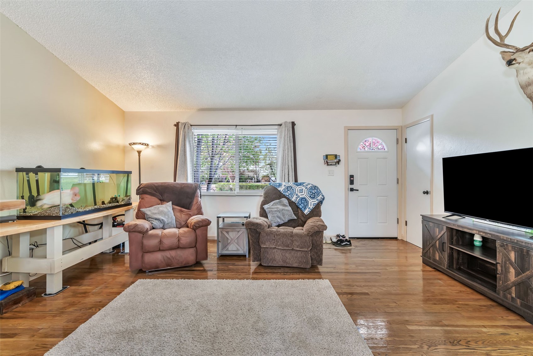 383 Spruce Street Hayden CO 81639
