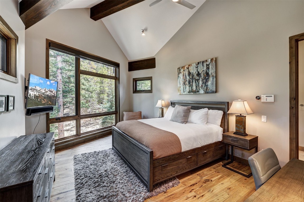 106 N Gold Flake Terrace Breckenridge CO 80424