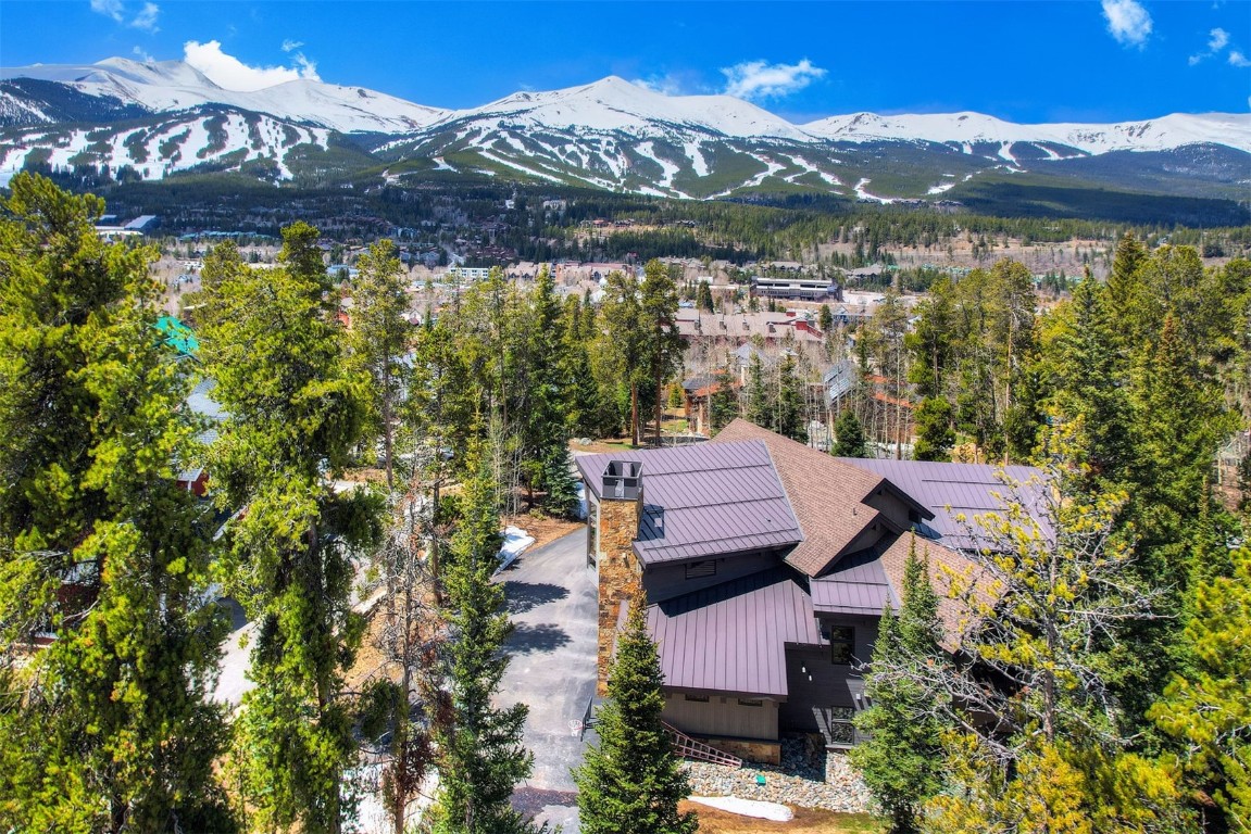 106 N Gold Flake Terrace Breckenridge CO 80424