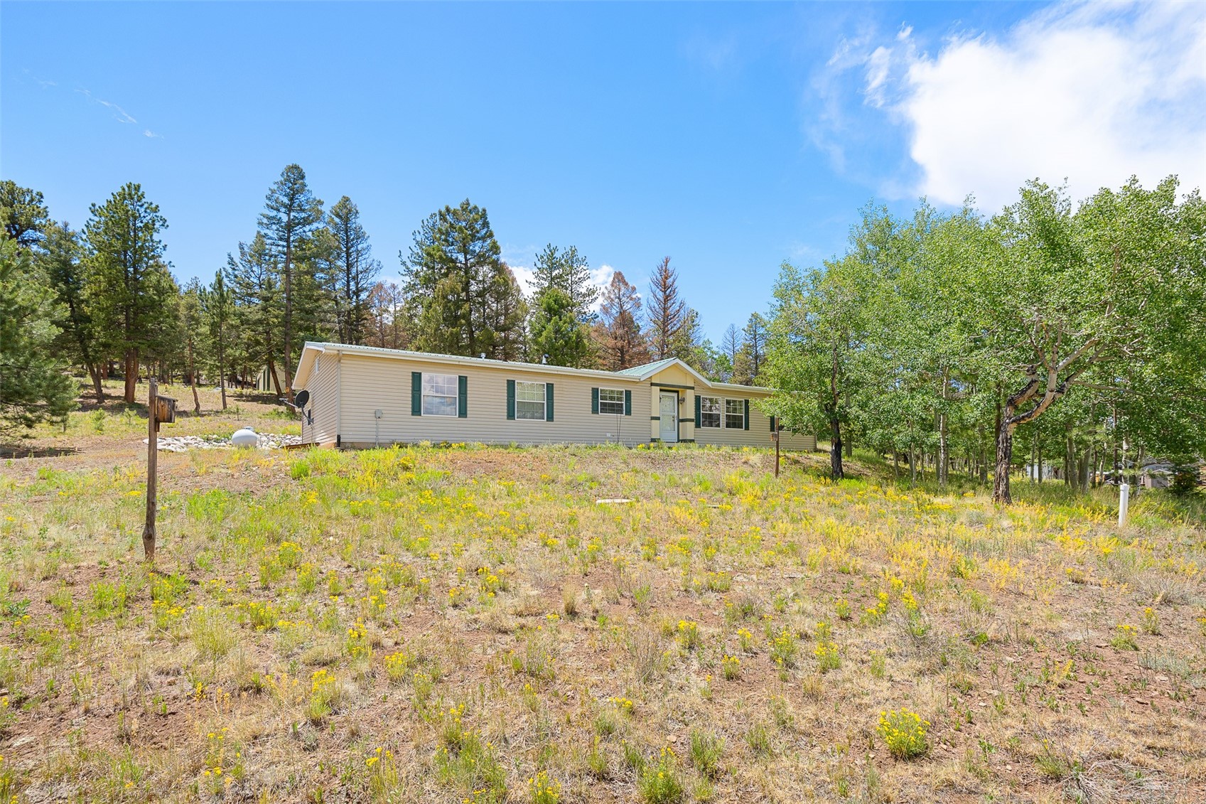 1855 Windmill Drive Hartsel CO 80449