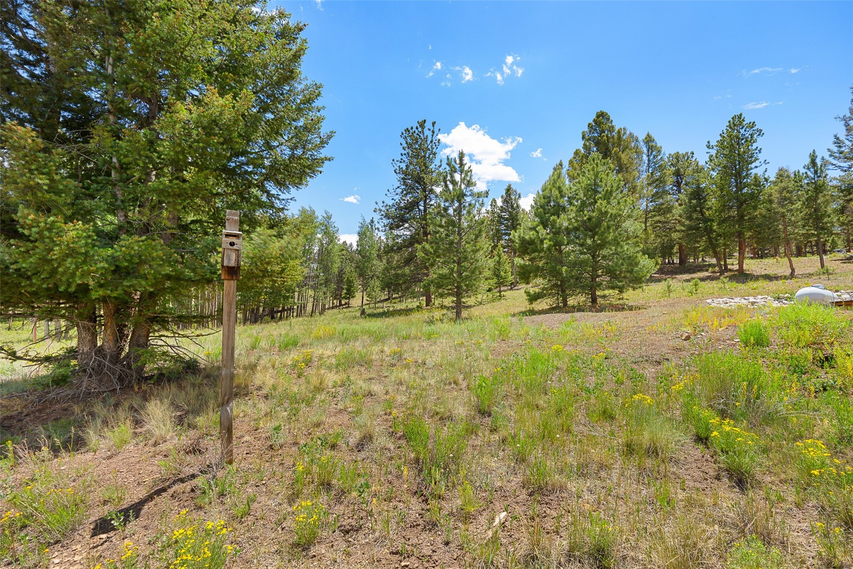 1855 Windmill Drive Hartsel CO 80449