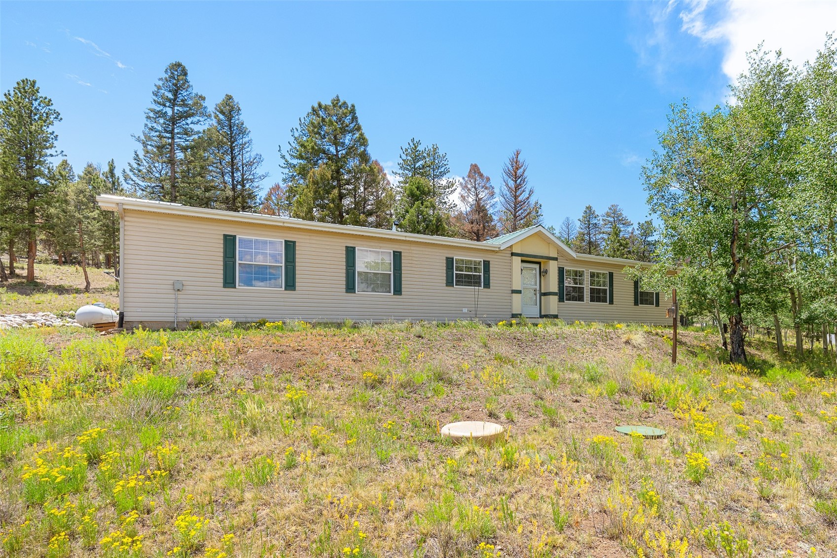 1855 Windmill Drive Hartsel CO 80449