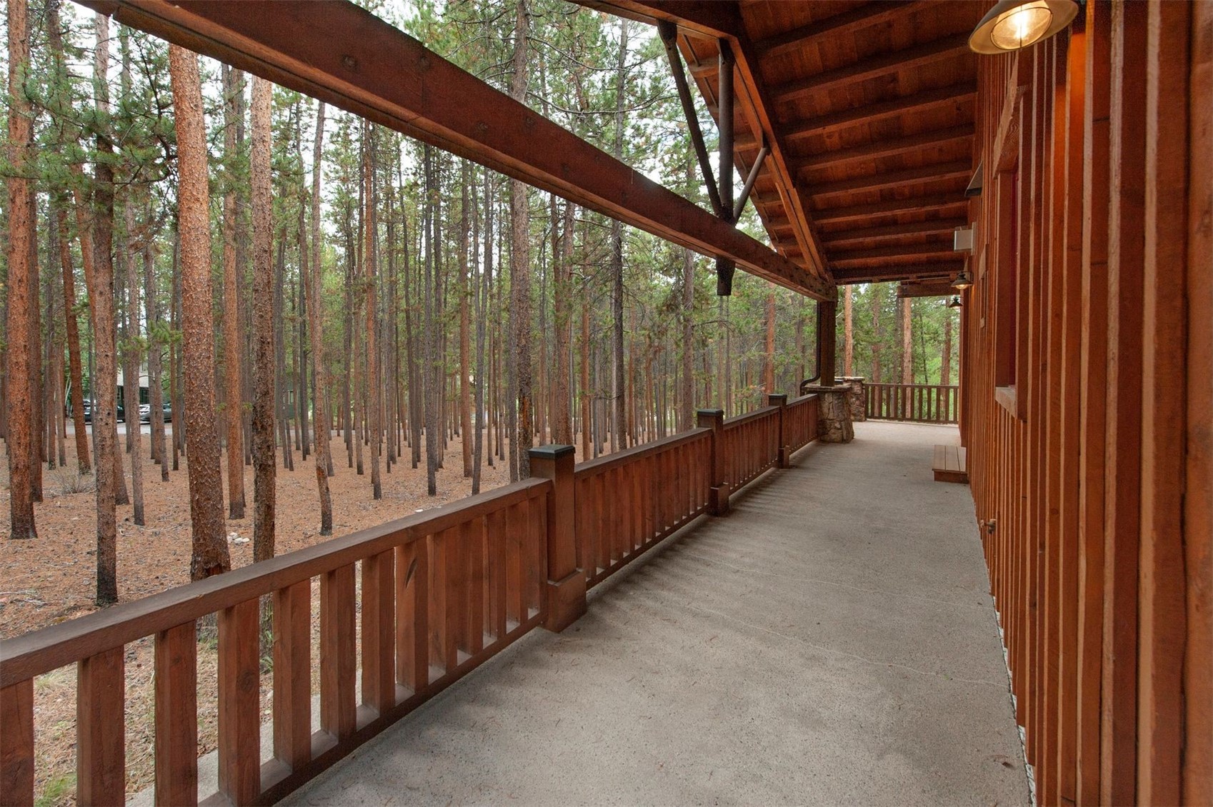 49 Edelweiss Circle Keystone CO 80435