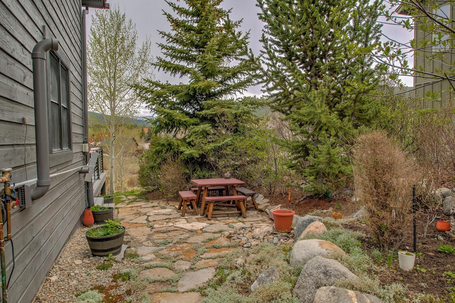 113 Soda Creek Court Dillon CO 80435