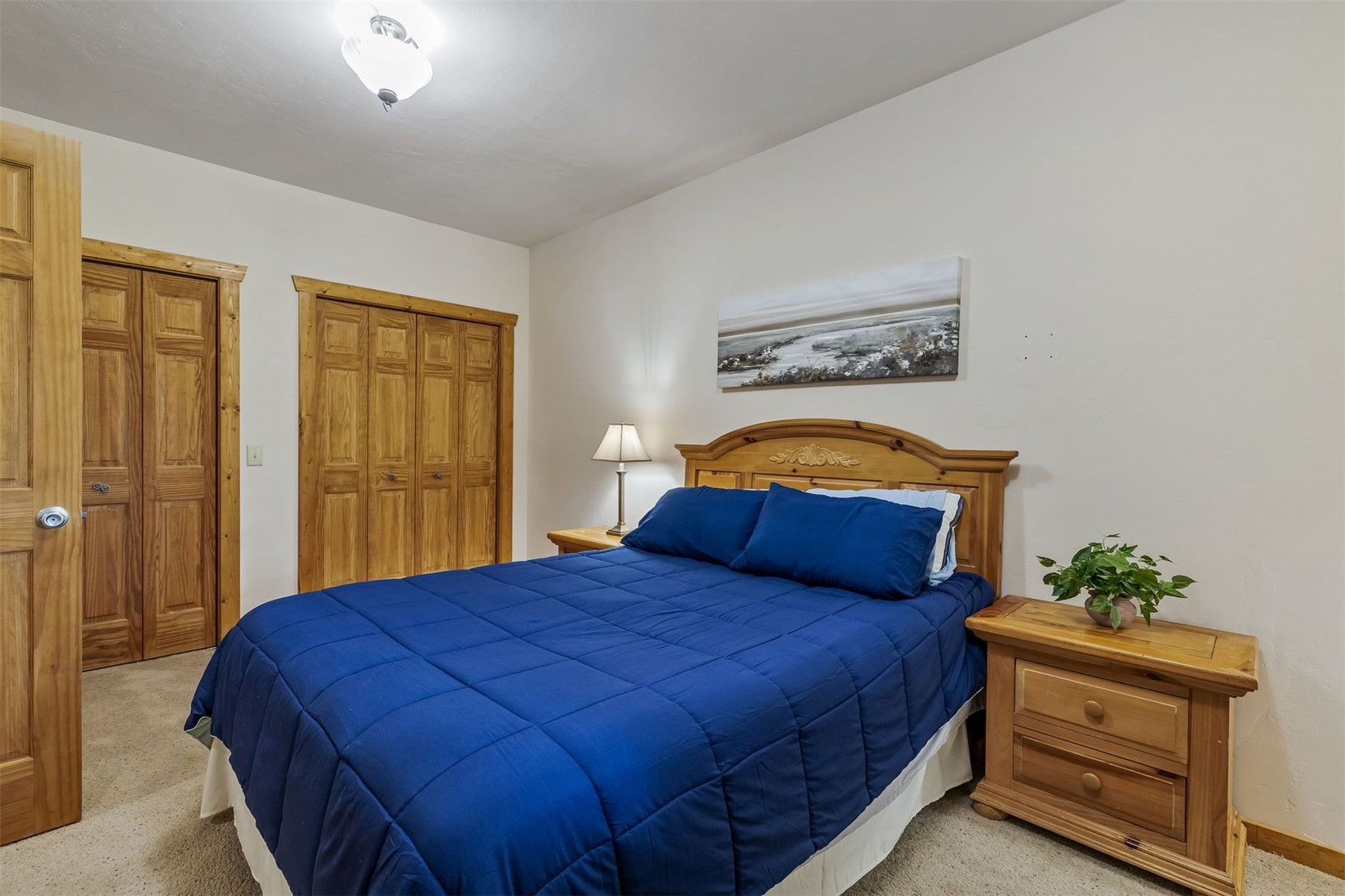 248 Puma Place Fairplay CO 80440