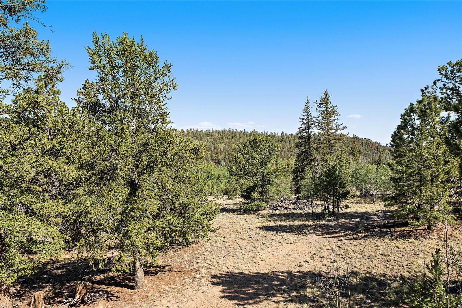 1720 Ute Trail Como CO 80456