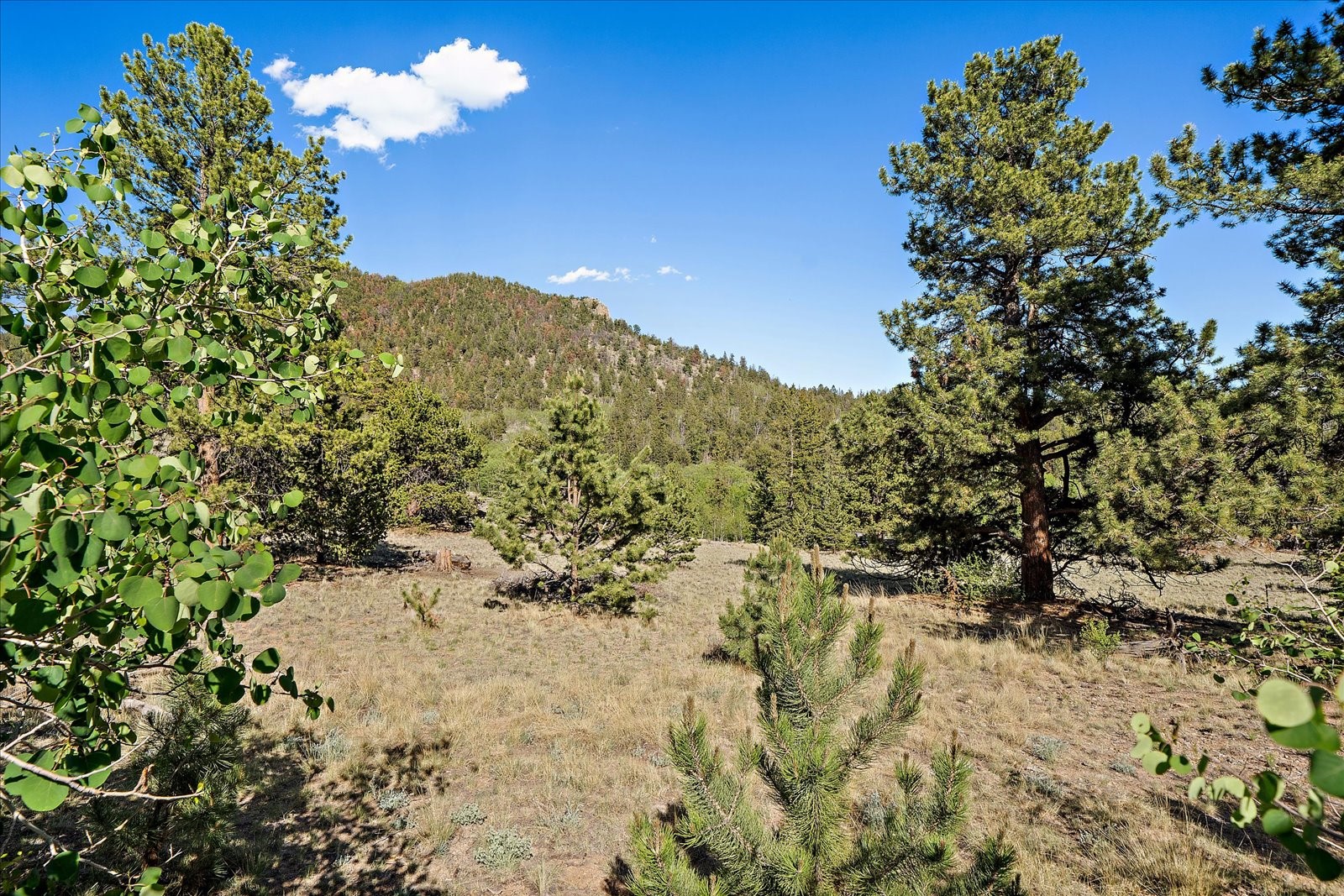 1720 Ute Trail Como CO 80456