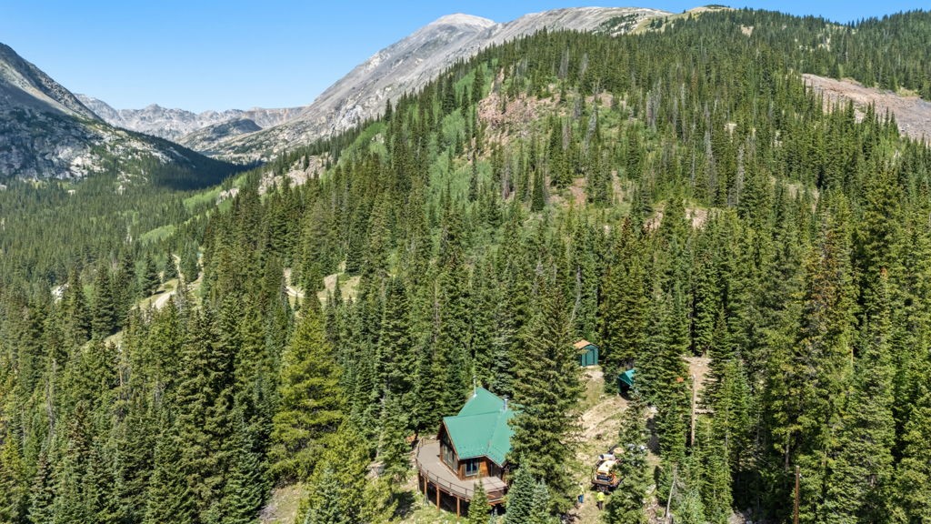 321 Monte Cristo Mine Road Breckenridge CO 80424