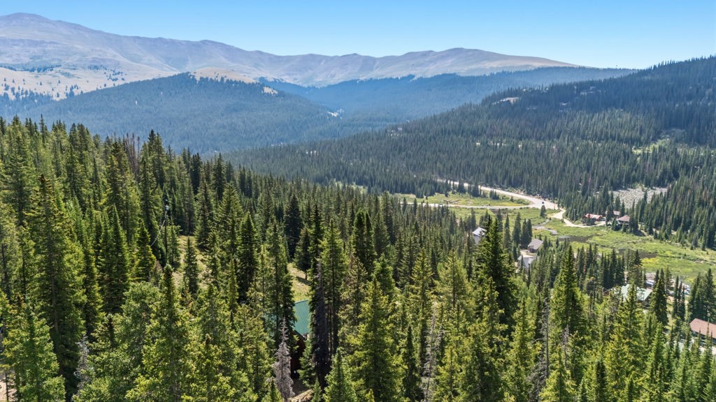 321 Monte Cristo Mine Road Breckenridge CO 80424