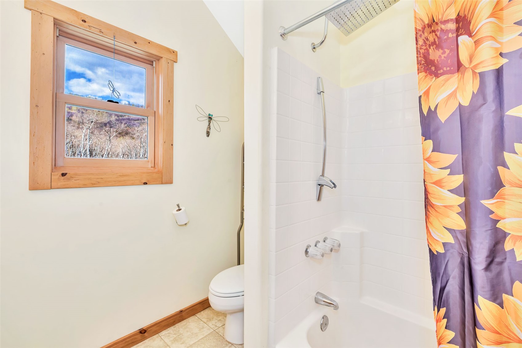 24425 Rawhide Trail Oak Creek CO 80467