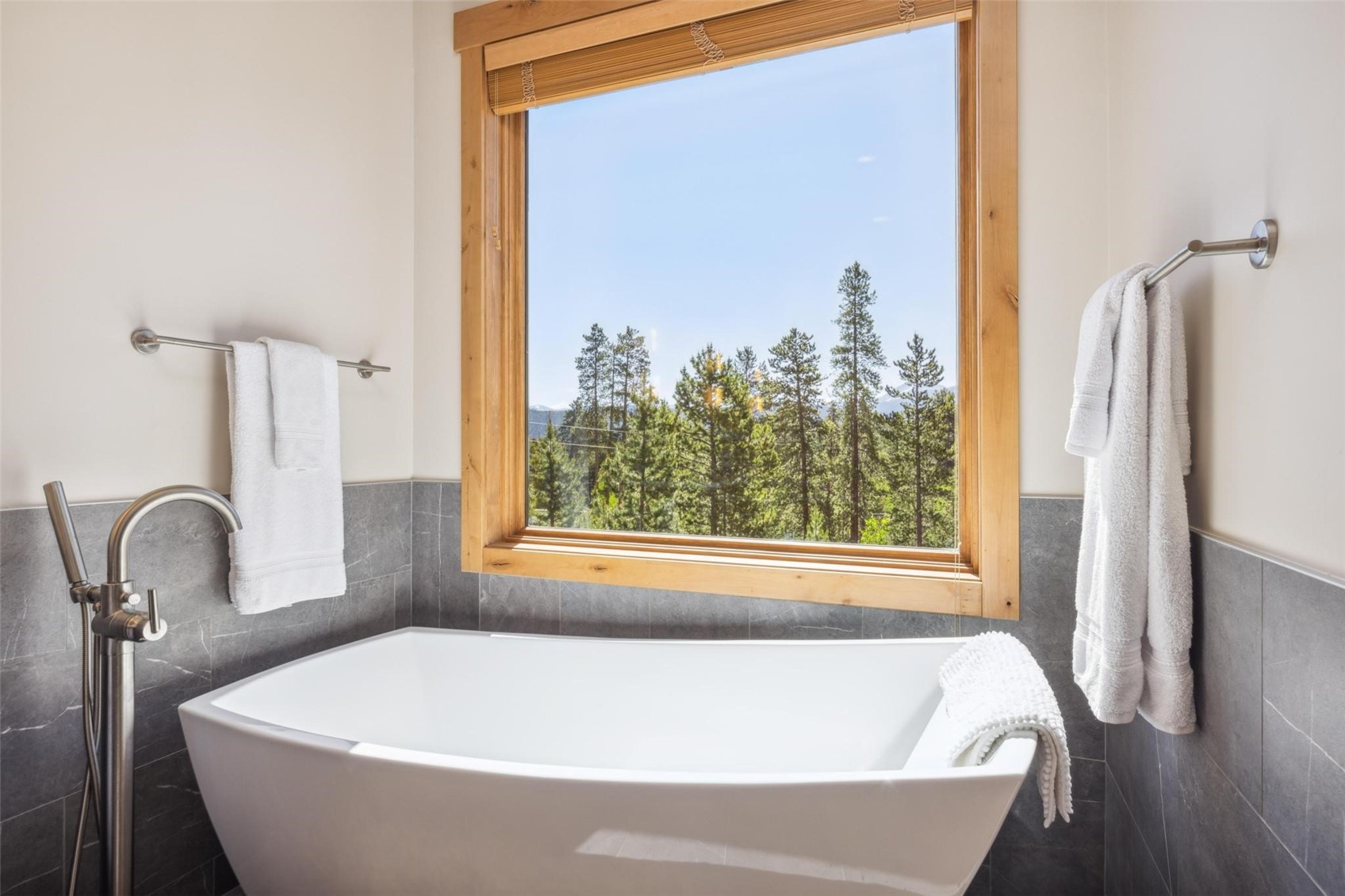 41 Barton Ridge Drive Breckenridge CO 80424