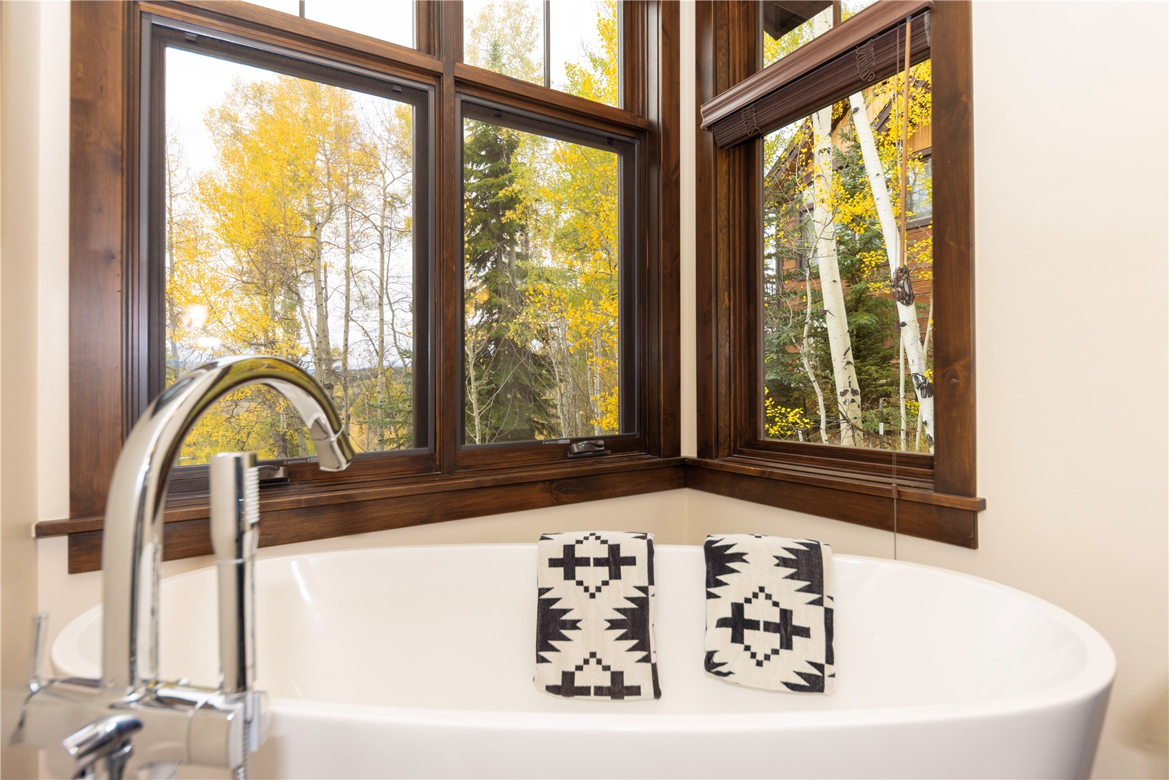 245 Two Cabins Drive Silverthorne CO 80498