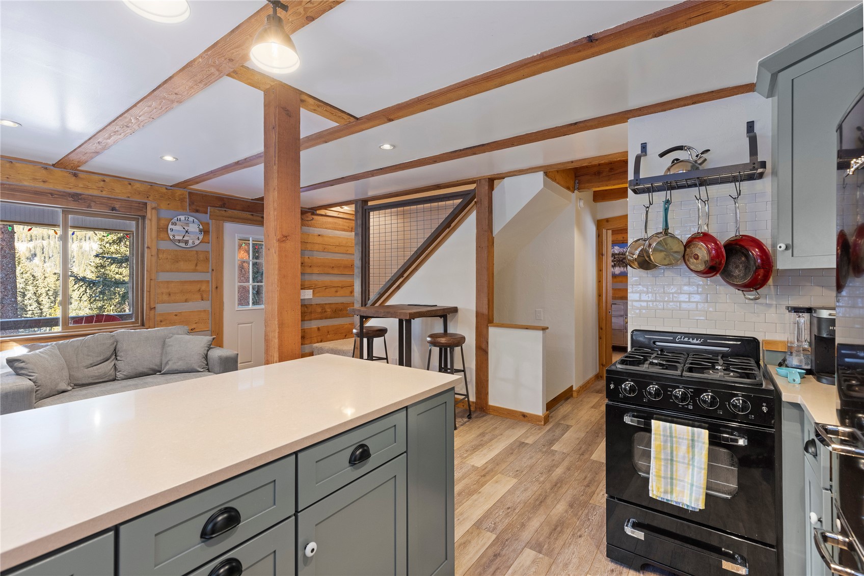 0516 County Road 674 Breckenridge CO 80424